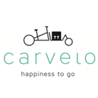 Lancement carvelo